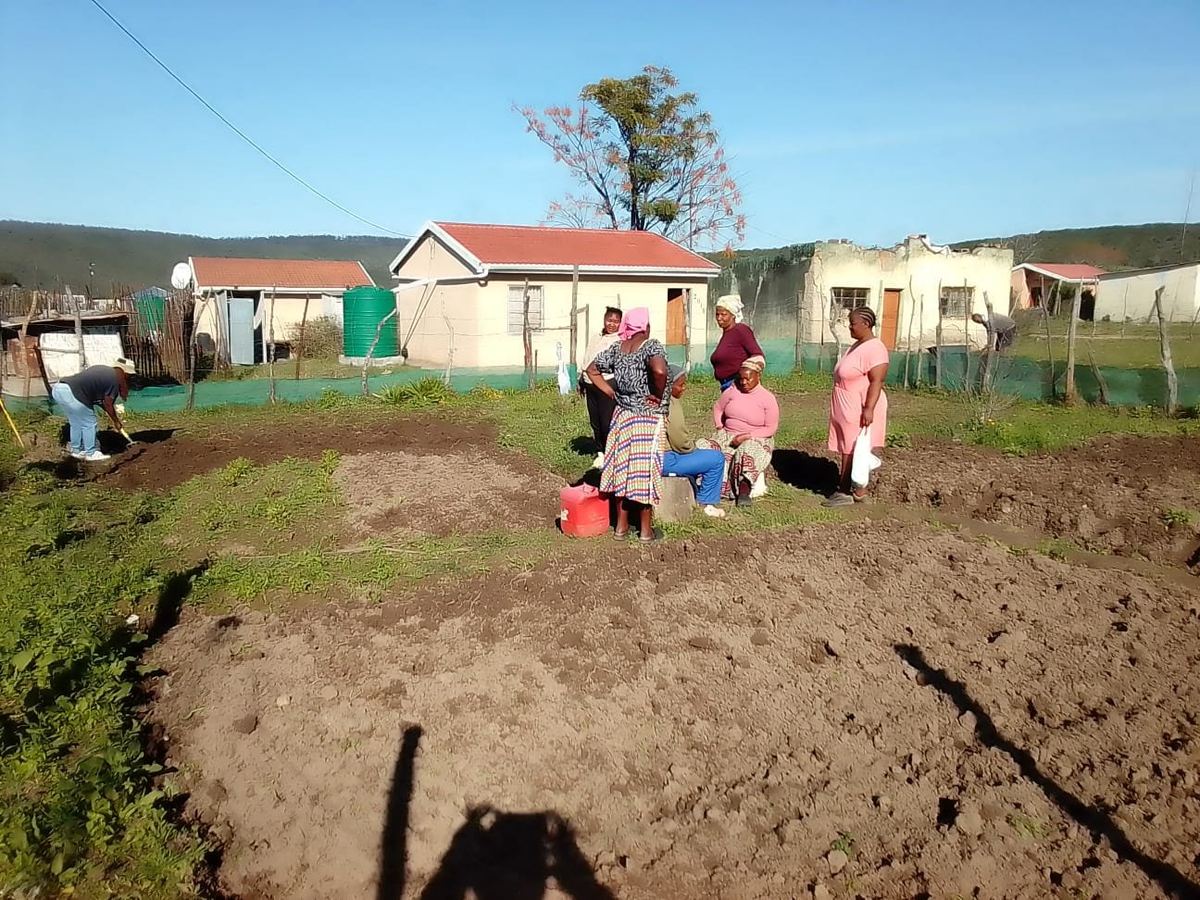 Imveli community members working and meeting in a neighbourhood garden plot.